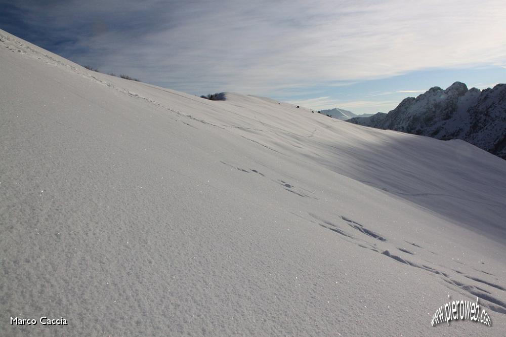 06_Neve al Passo Baciamorti.JPG